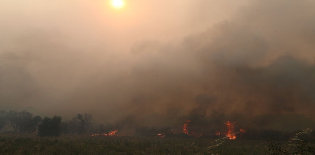 Φωτιά στον Έβρο: Ασταμάτητη η πυρκαγιά για 15η ημέρα – Στον μικρό πυρήνα της Δαδιάς οι φλόγες